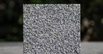 佛山 芝麻黑荔枝面