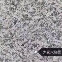 佛山 芙蓉白（芝麻白大花）火烧面