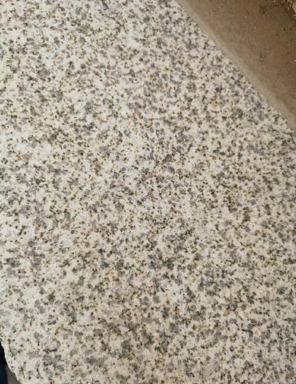 佛山 黄金麻中黄光面