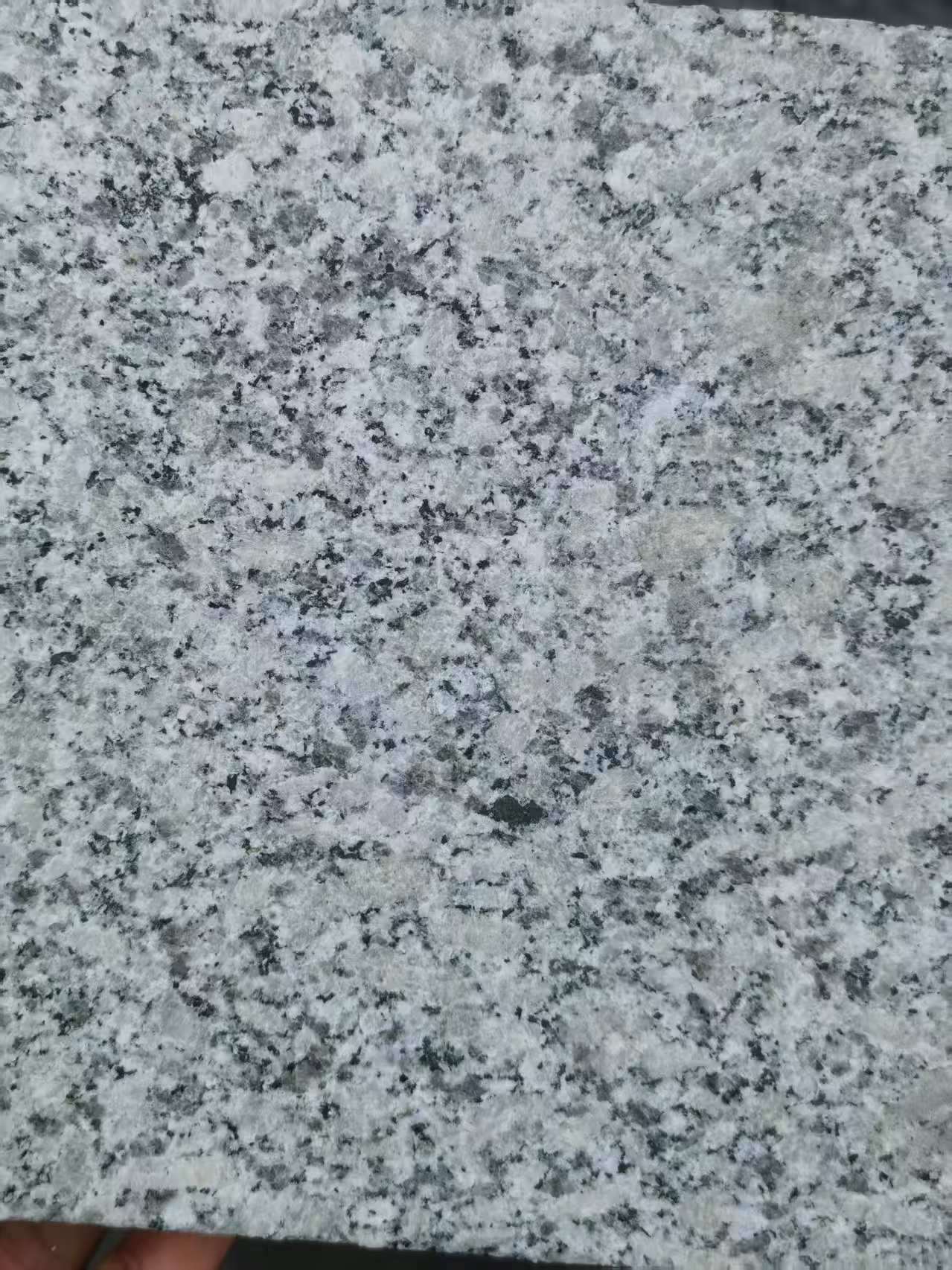 佛山 芙蓉白火烧面