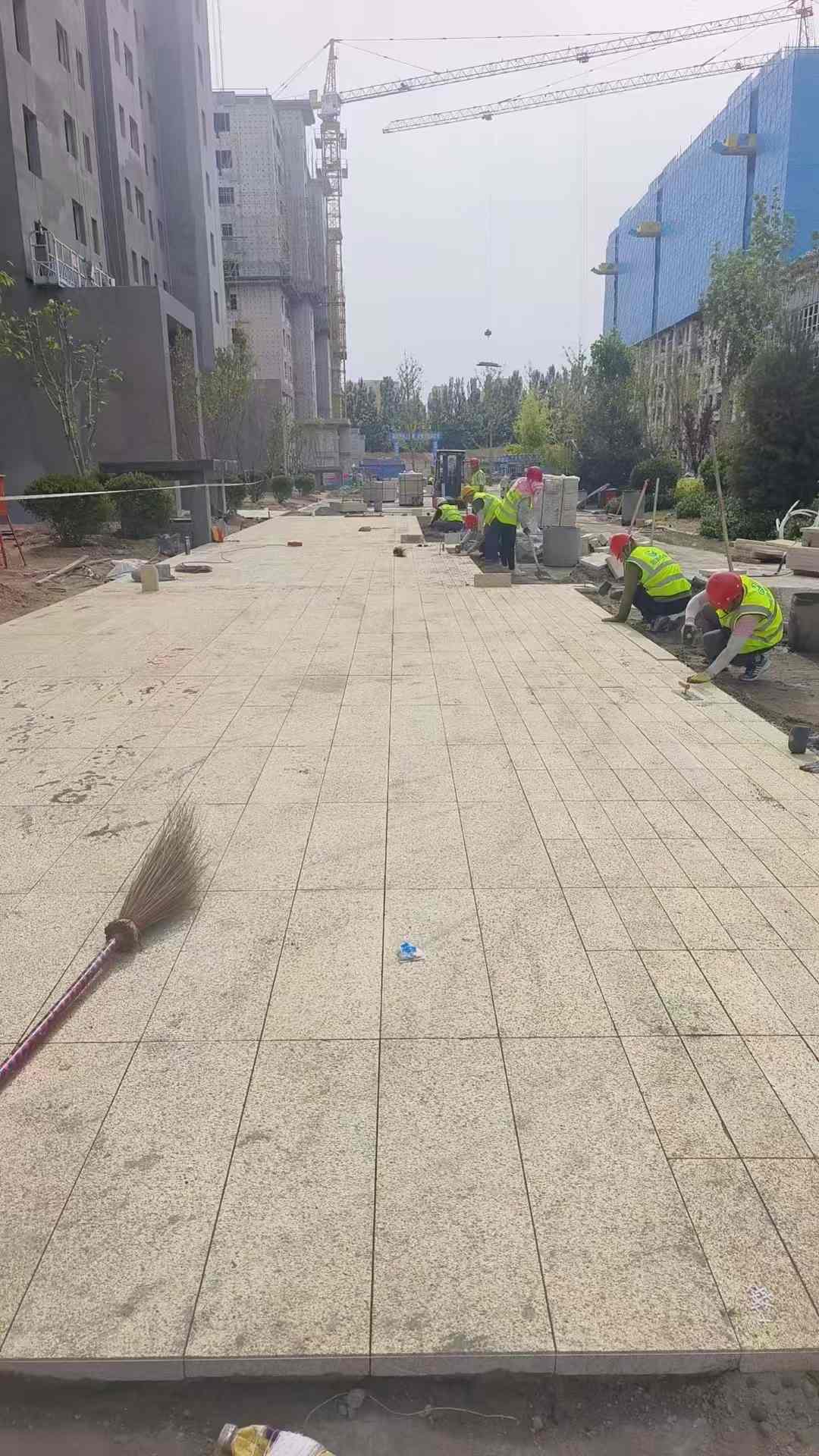 佛山黄金麻荔枝面地铺案例