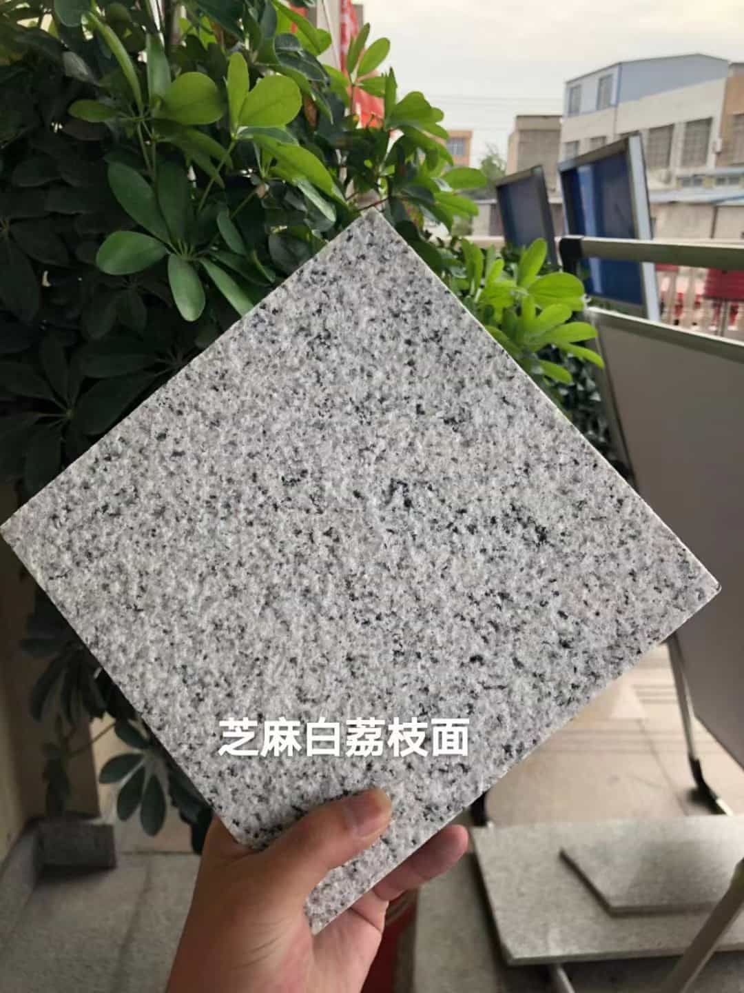佛山 芝麻白荔枝面干挂
